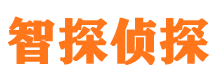 临沭市私家调查